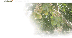 Desktop Screenshot of primexprocessing.com