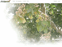 Tablet Screenshot of primexprocessing.com